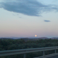 Kvikimon