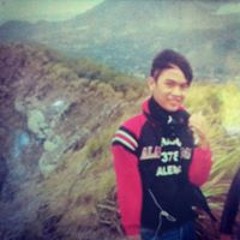 Erickson Deswana Putra