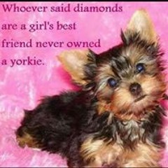 April Dawn Crittenden