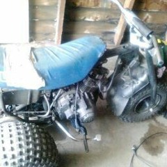user296599701