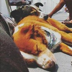 Devin Mae Christopher