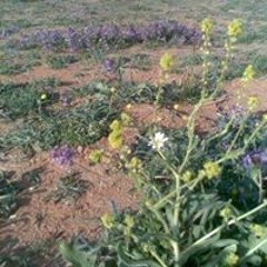 عبدالاله عبدالمحسن