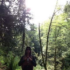 Drake Traverse