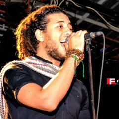 Tarek Sayed