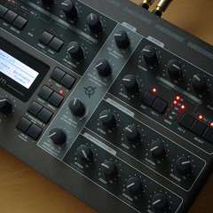 Paradigm Studios Belize