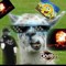 xXlui_the_llamaXx