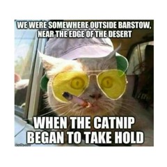 (dont know photo cred)