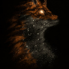 Chris Foxx \ FoxxDYE