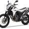 todi47