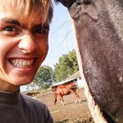 Bátor Dávid Molnár