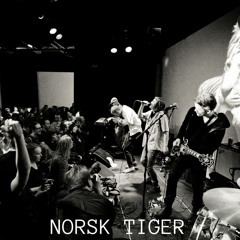 Norsk Tiger