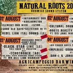 Echotronix Sound System