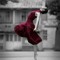 rawda moustafa