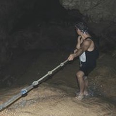 mrkvsprs