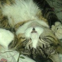 Nicole Ashley Kroeker