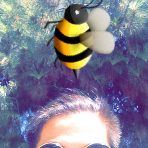 Buzzin Bumblebee’s avatar