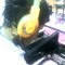 DJ Negho Rmx!