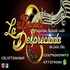 Banda La Despreciada Gto