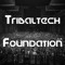 Tribaltech Foundation