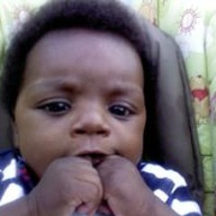 Antman Stupidwild Battle