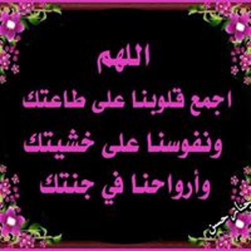 Sozan Mostafa’s avatar