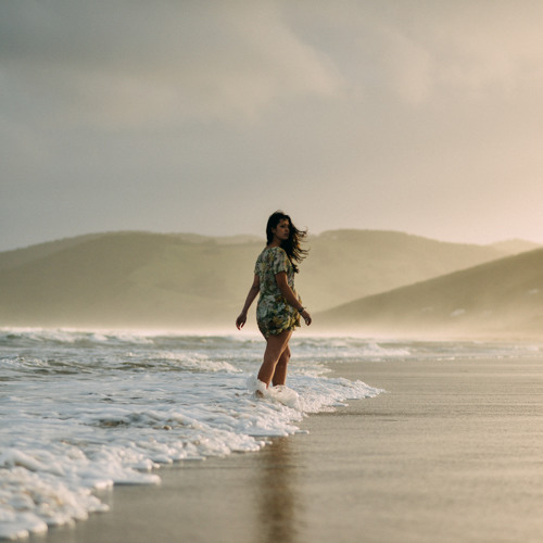 Bird On A Wire (sarah Blasko Cover)