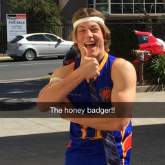 The Honey Badger