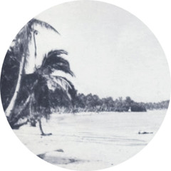 Black Tropics