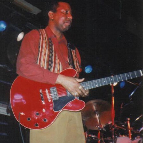 Stream Dust My Broom by Preston Shannon Listen online for free on