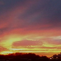 ViolaAngel Elisabeth