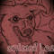 animal_joe