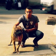 Mohamed Hosny 208