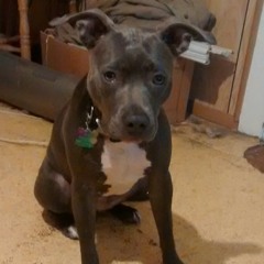 Derrek Goddamn Ribera