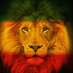 XevolutionVmakerX