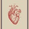 Last Heart