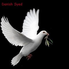 Danish Syed