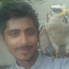 Raja Ateeq