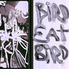 Bird Eat Bird
