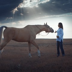 Julia Patek Minnesota