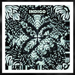 Indigo_banda