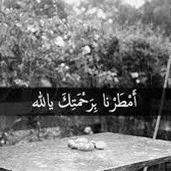 user417654978