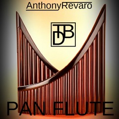AnthonyRevaro & TDB