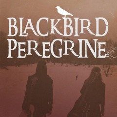 Blackbird Peregrine