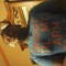dewayne29