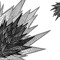 PilotAzin