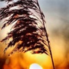 Christopher Anderson