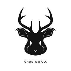 Noisy Ghost