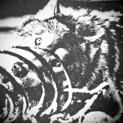 Volcandra- WhiteWulf