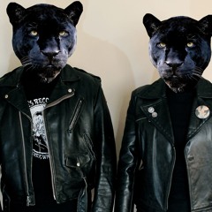 Zodiac Panthers