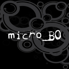 micro_BO